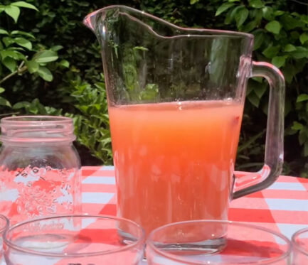 delect-pink-lemonade